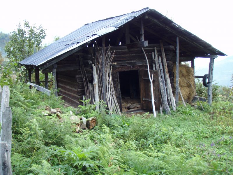 PA120952.jpg