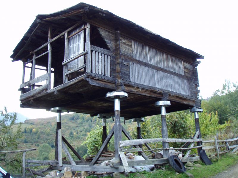 PA120955.jpg