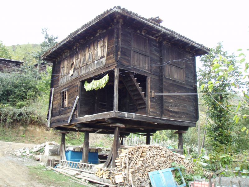 PA120979.jpg