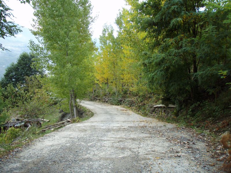 PA120987.jpg