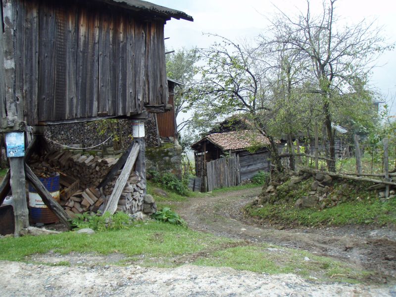 PA120993.jpg