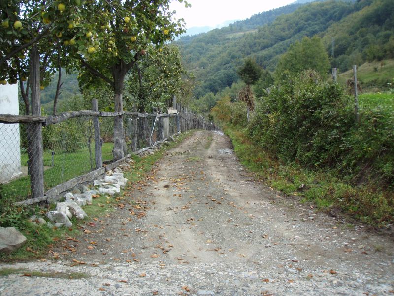 PA121011.jpg