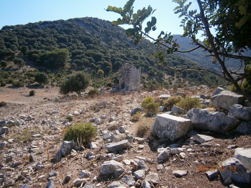 PA130098_800x600.JPG