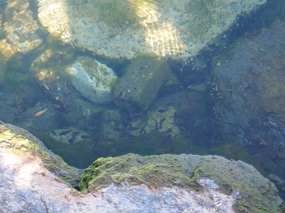 PA133999.jpg