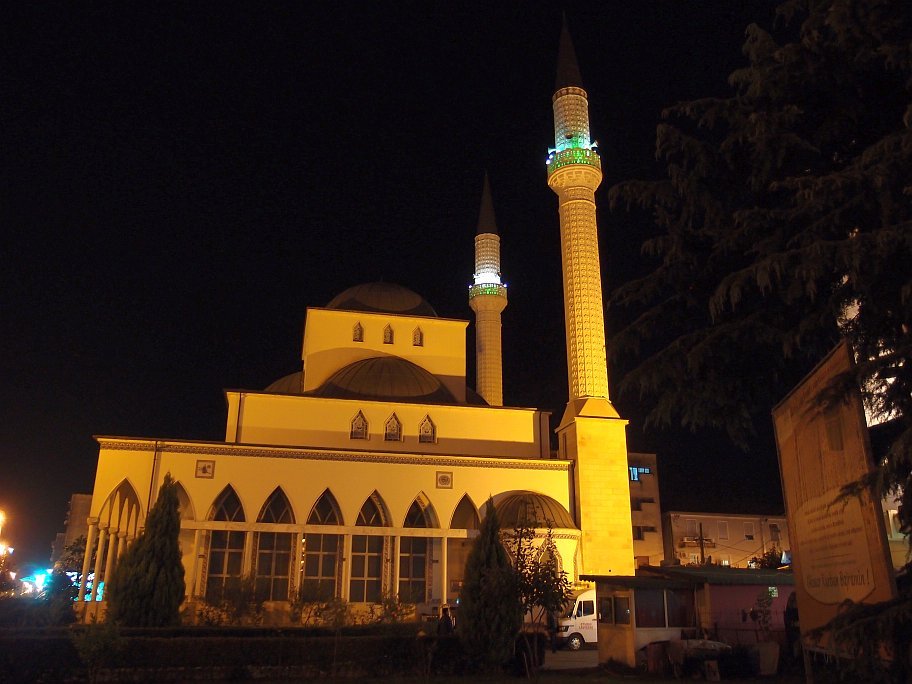 PA148655.jpg