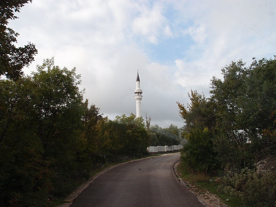 PA158725.jpg