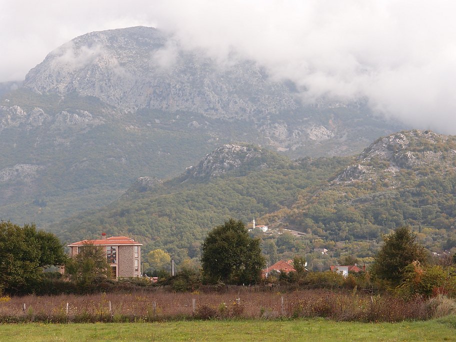 PA158734.jpg