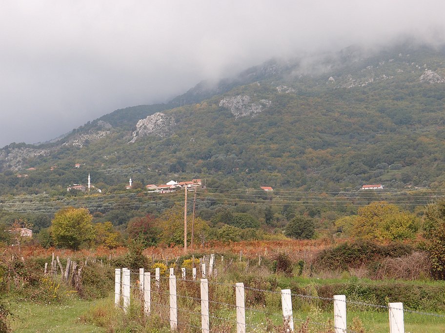 PA158735.jpg