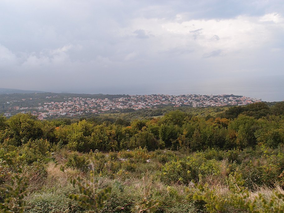 PA158751.jpg