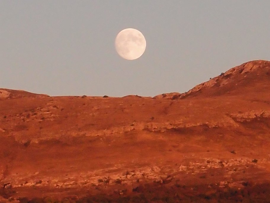 PA179457.jpg