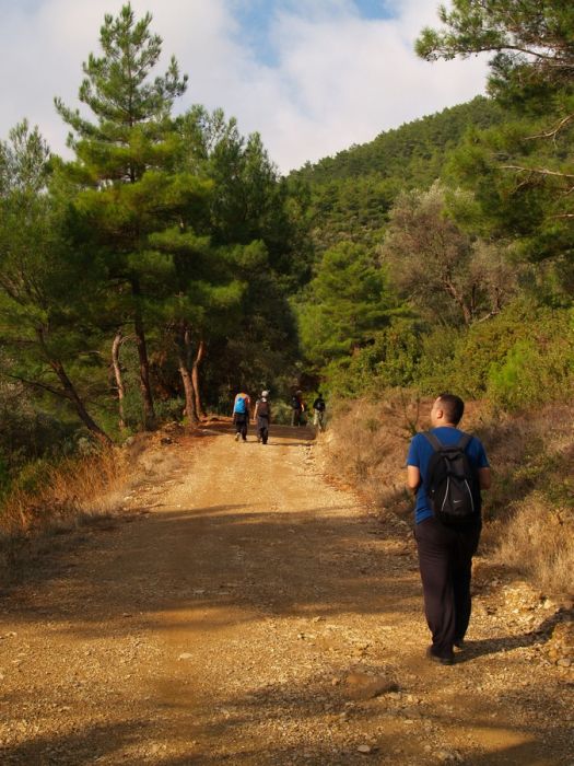 PA179527.jpg