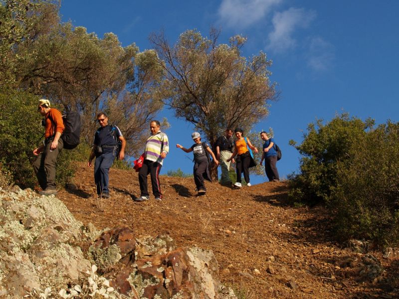 PA179529.jpg
