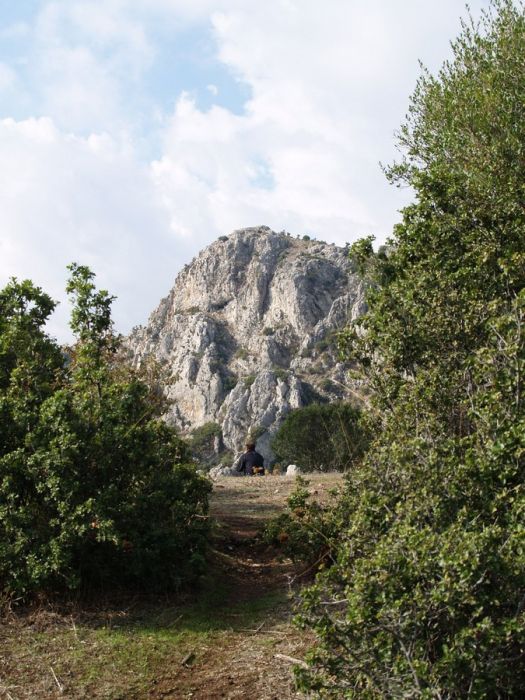 PA179547.jpg