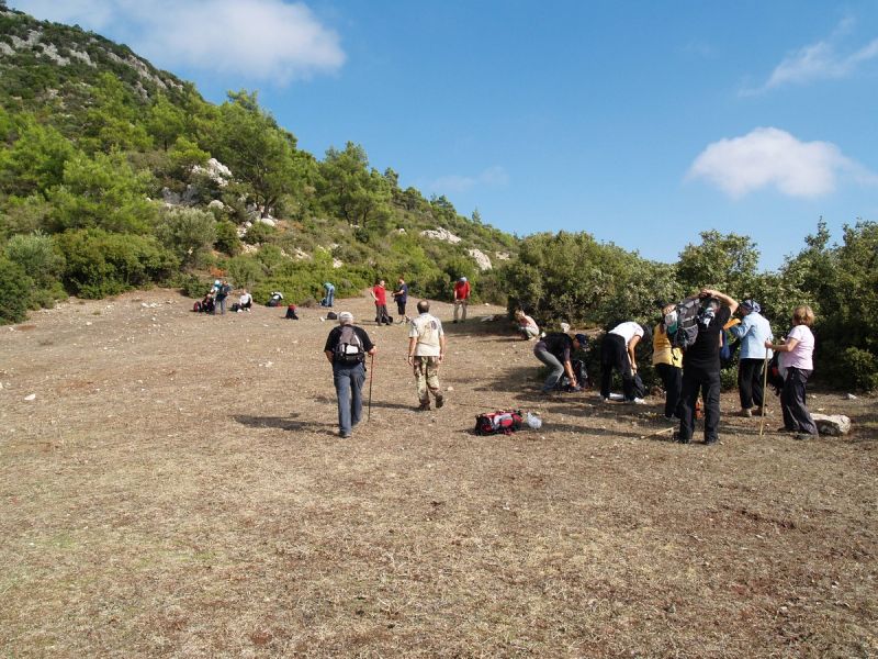 PA179548.jpg