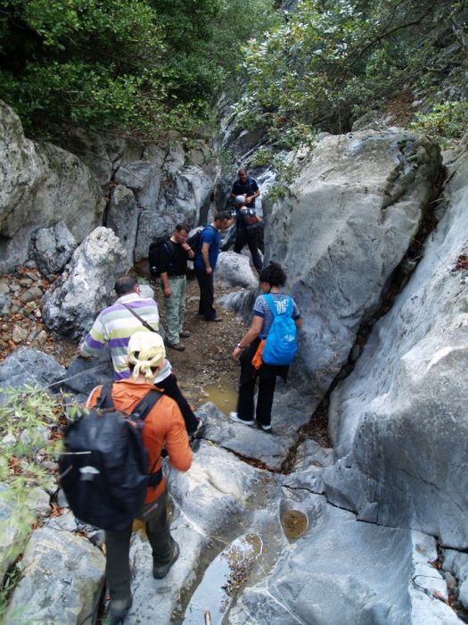 PA179566.jpg