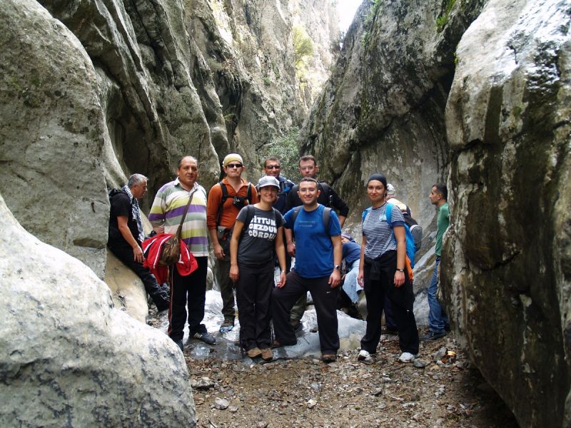 PA179573.jpg