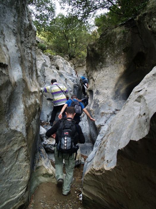PA179575.jpg