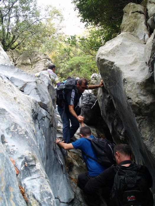 PA179576.jpg
