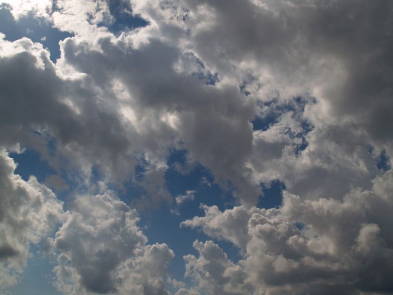 PA179654.jpg