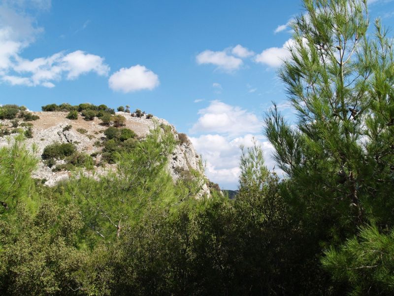 PA179660.jpg