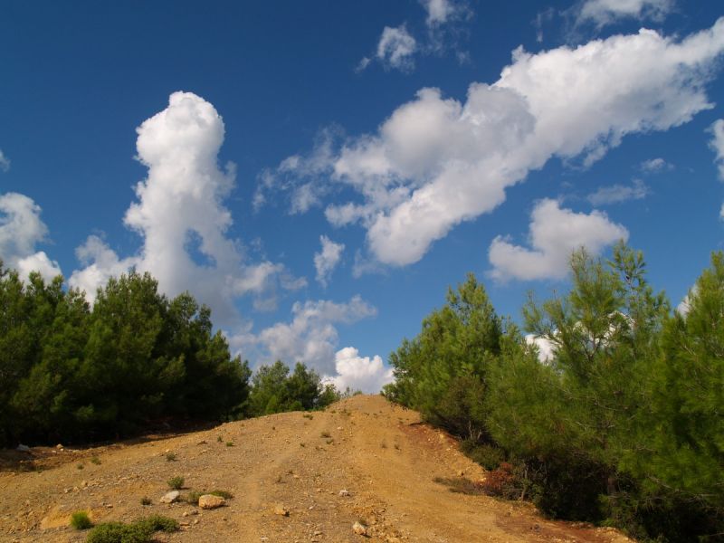 PA179664.jpg