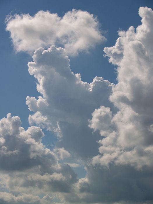 PA179670.jpg