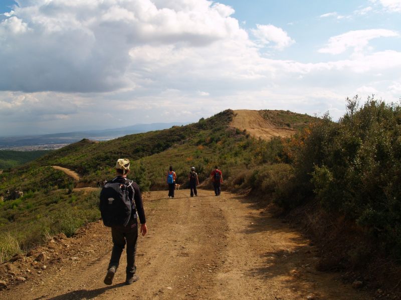 PA179672.jpg