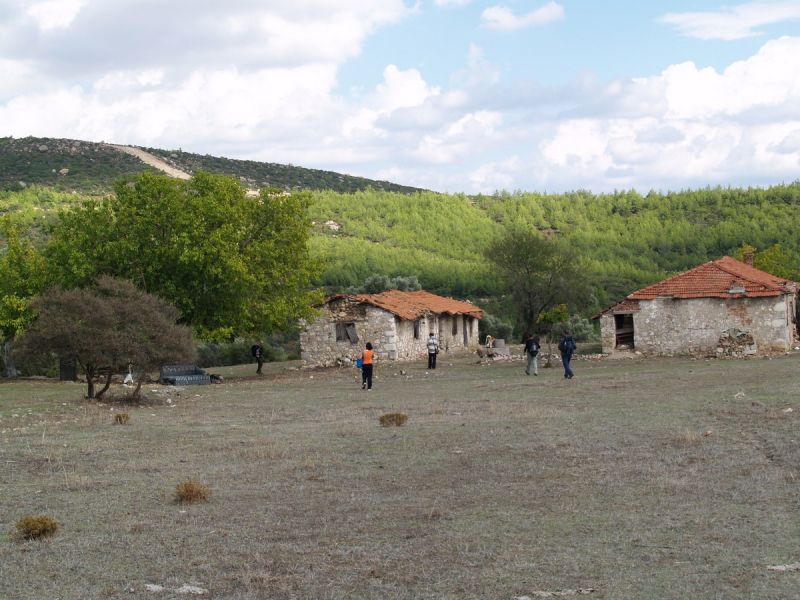 PA179688.jpg