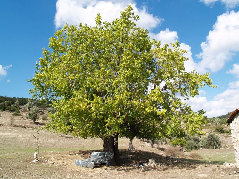 PA179689.jpg