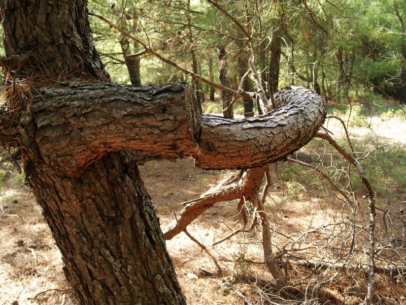 PA179724.jpg