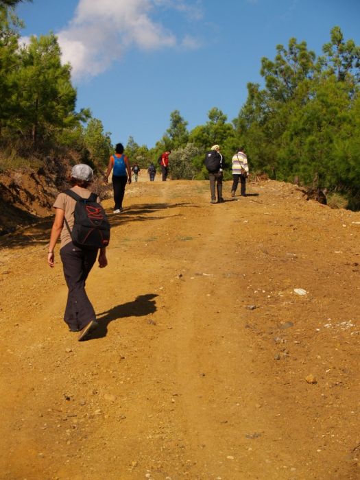 PA179736.jpg