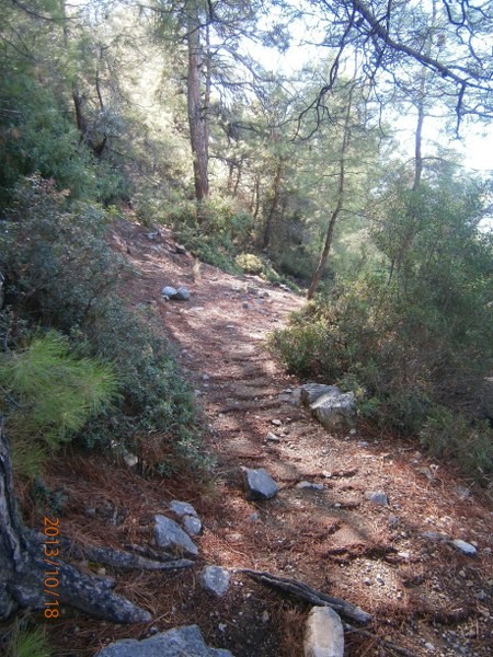 PA180135_450x600.JPG