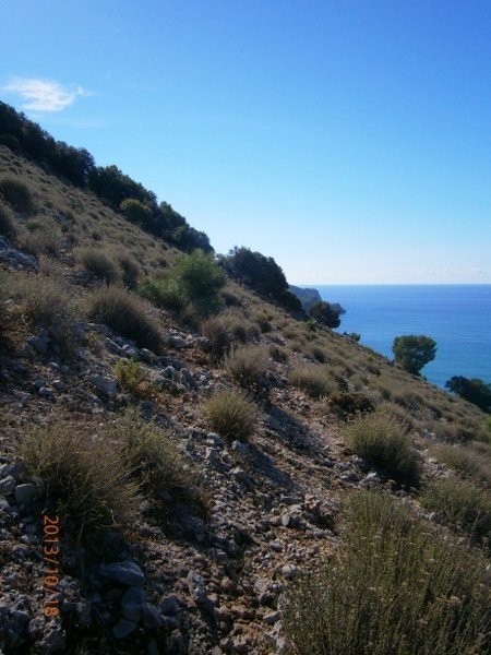 PA180146_450x600.JPG