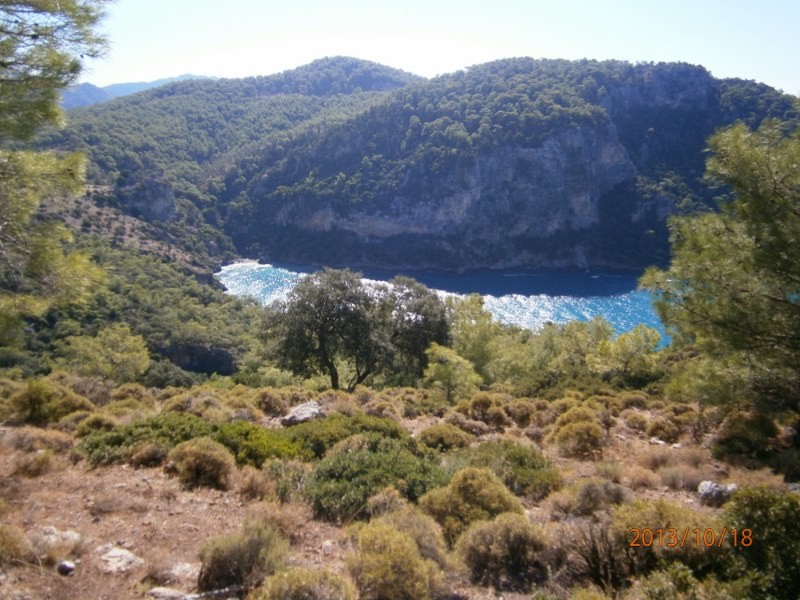 PA180153_800x600.JPG