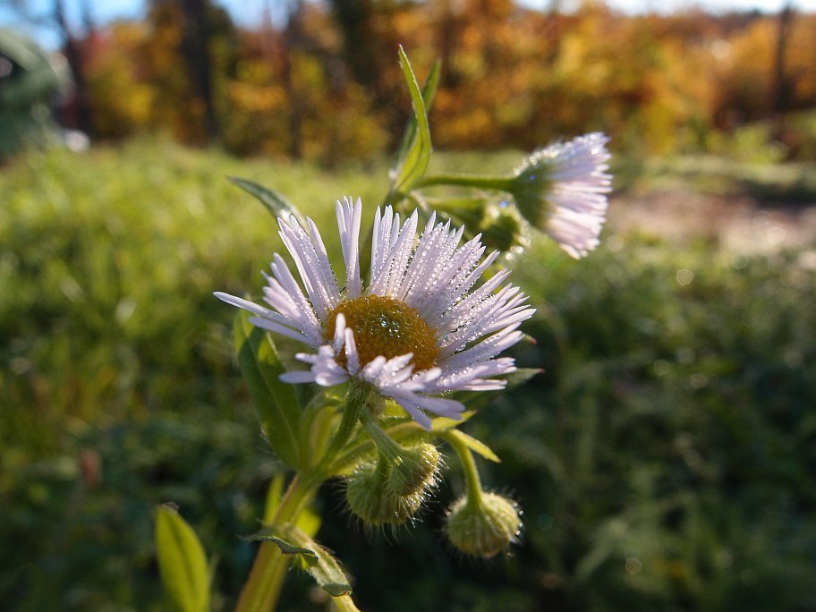 PA189505.jpg