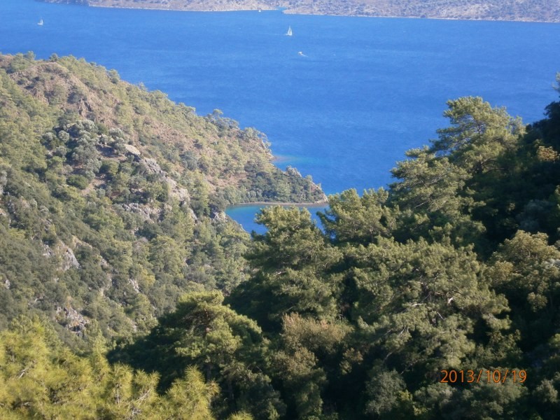 PA190087_800x600.JPG