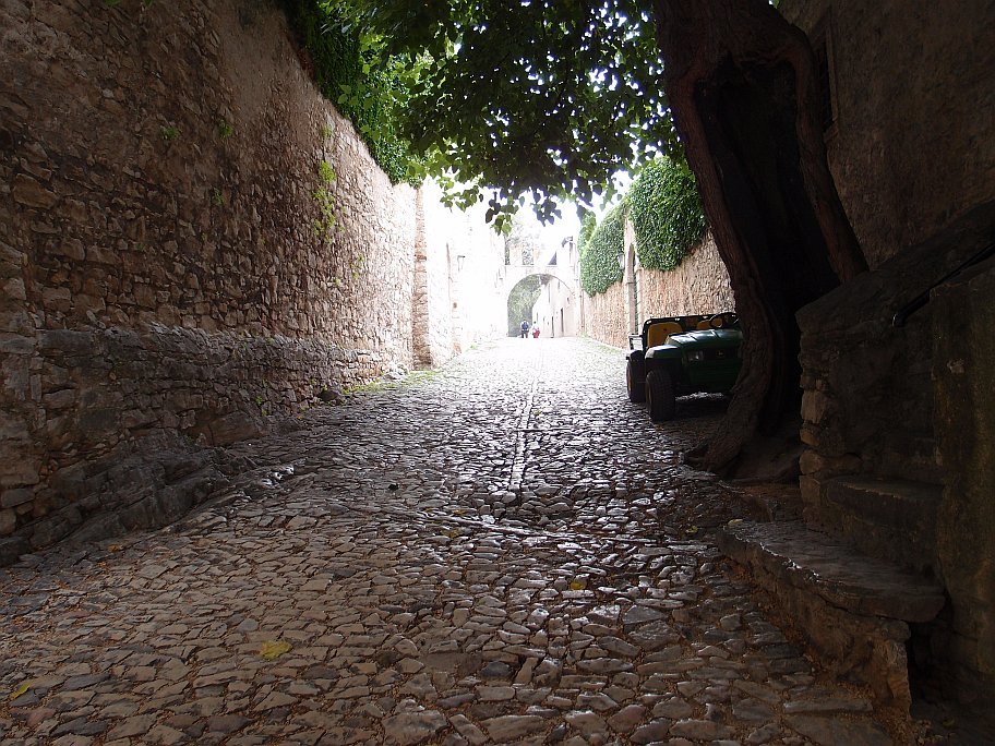 PA210298.jpg
