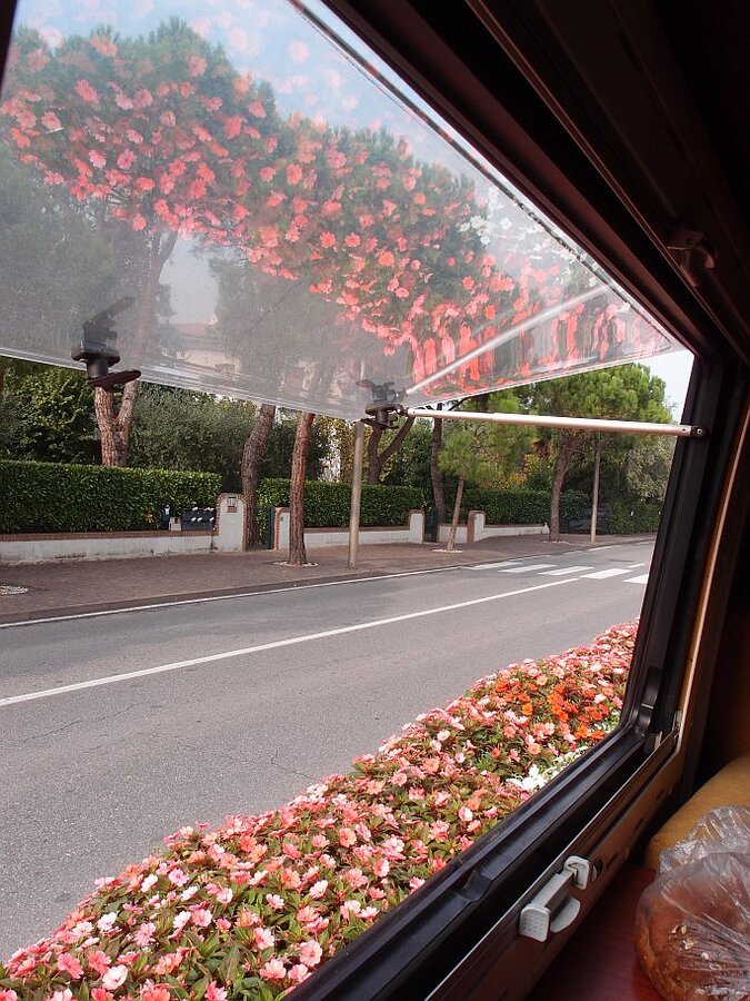 PA210329.jpg