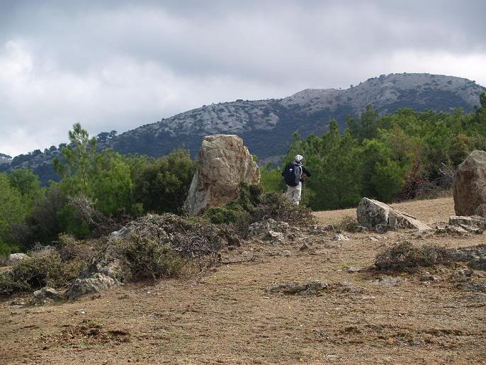 PA214269.jpg