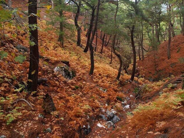 PA214291.jpg