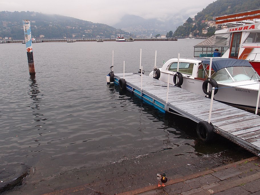 PA220778.jpg