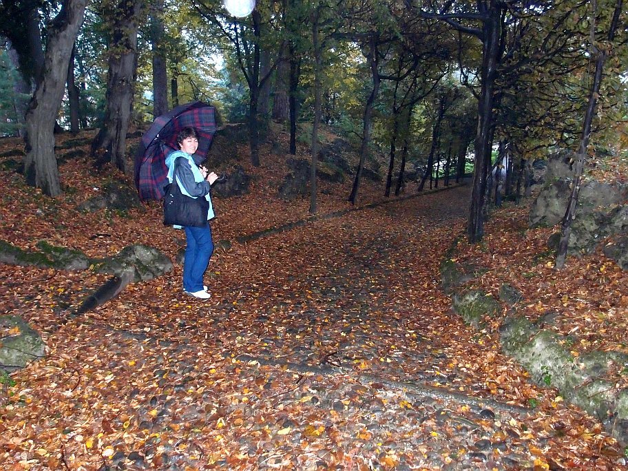 PA220829.jpg