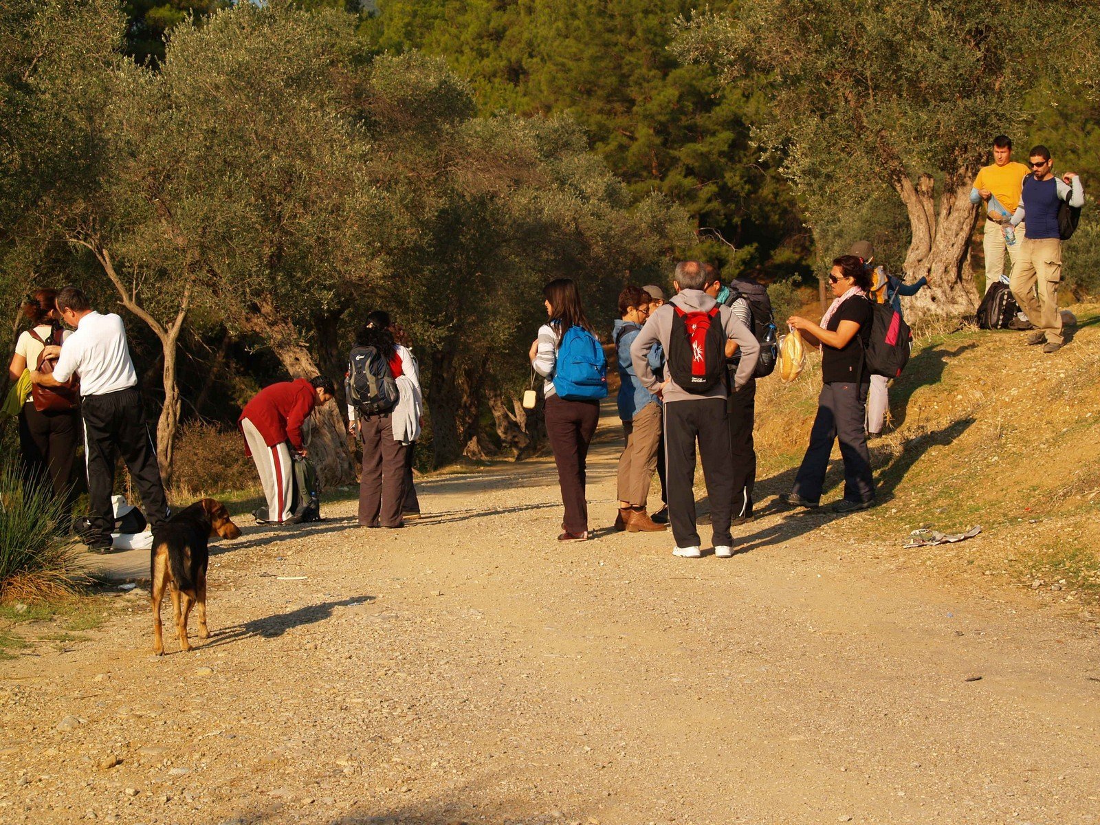 PA230005.jpg