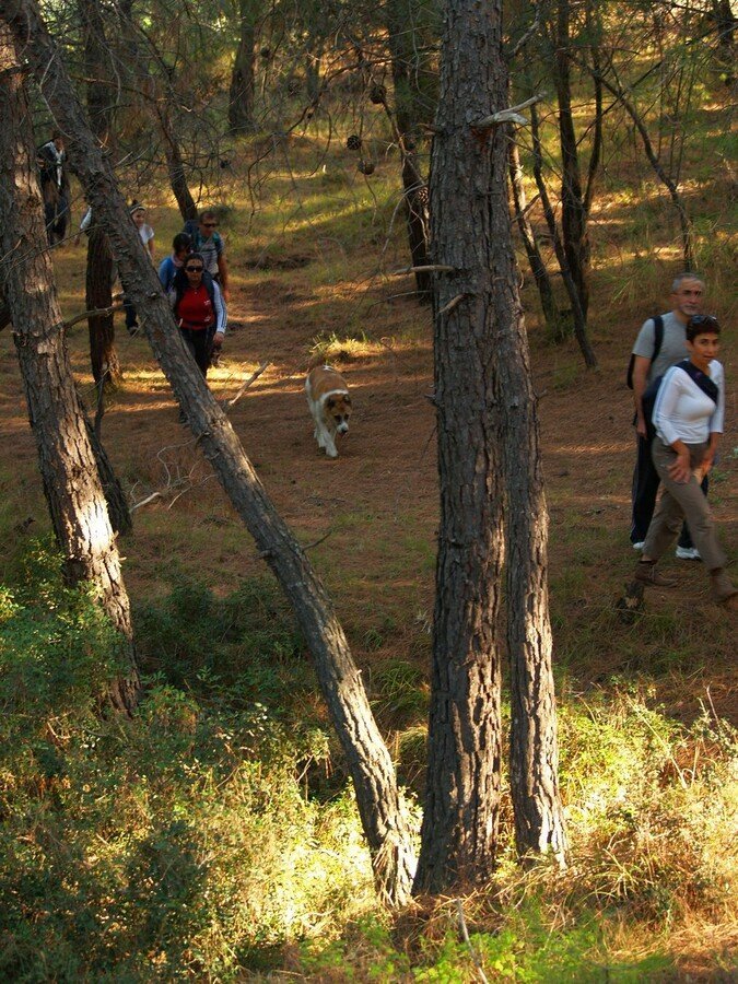 PA230025.jpg