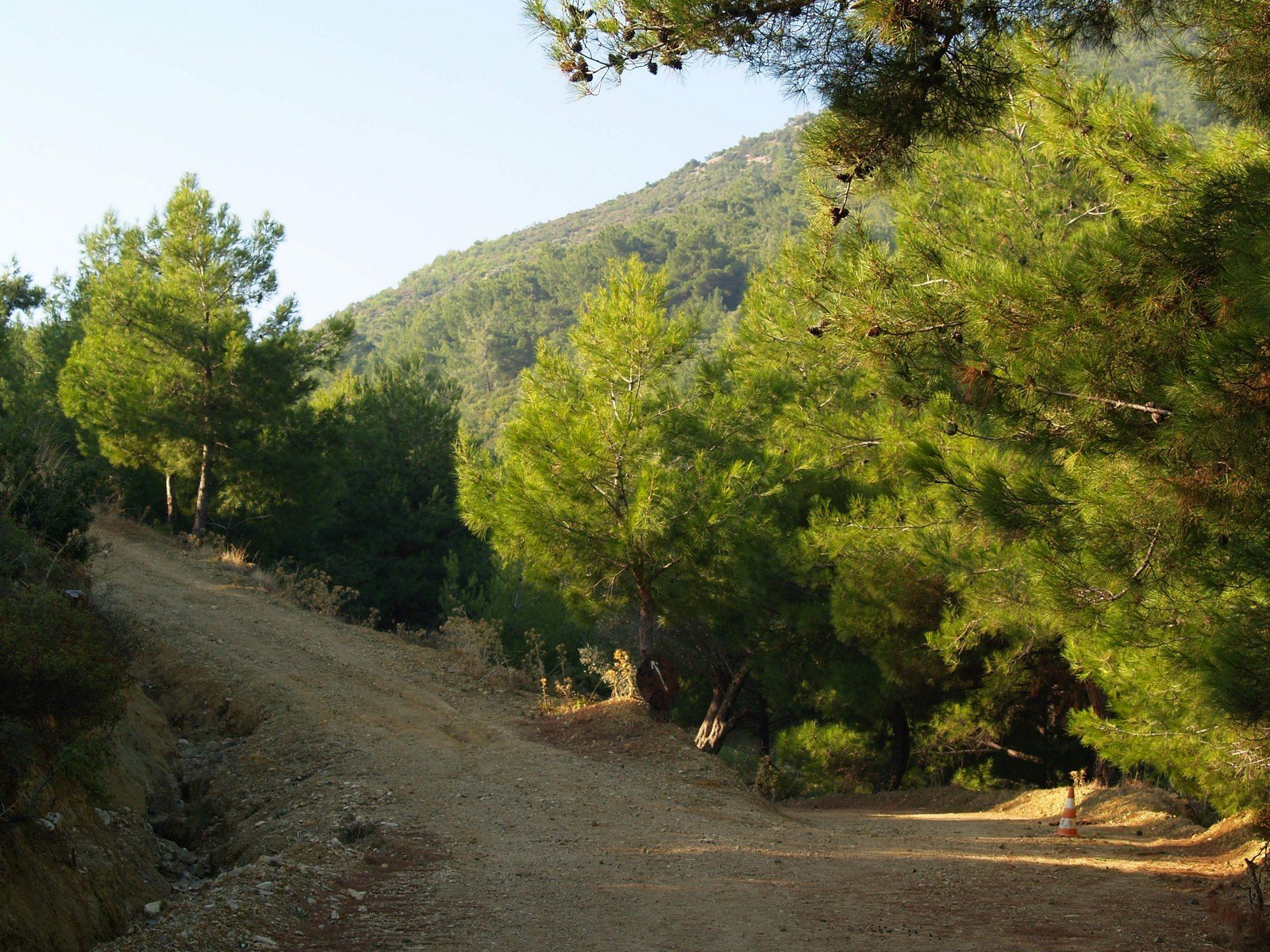 PA230027.jpg