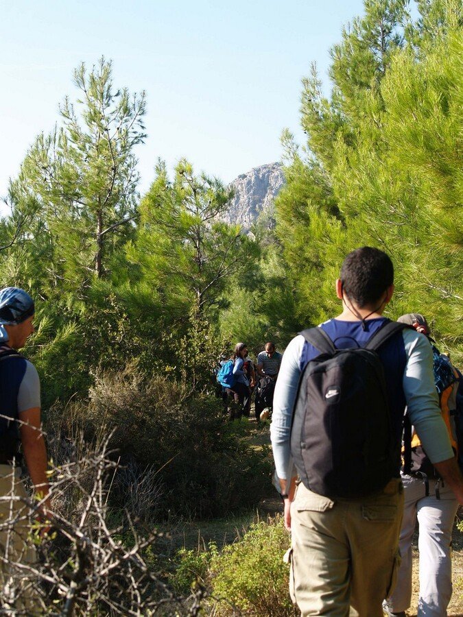 PA230046.jpg
