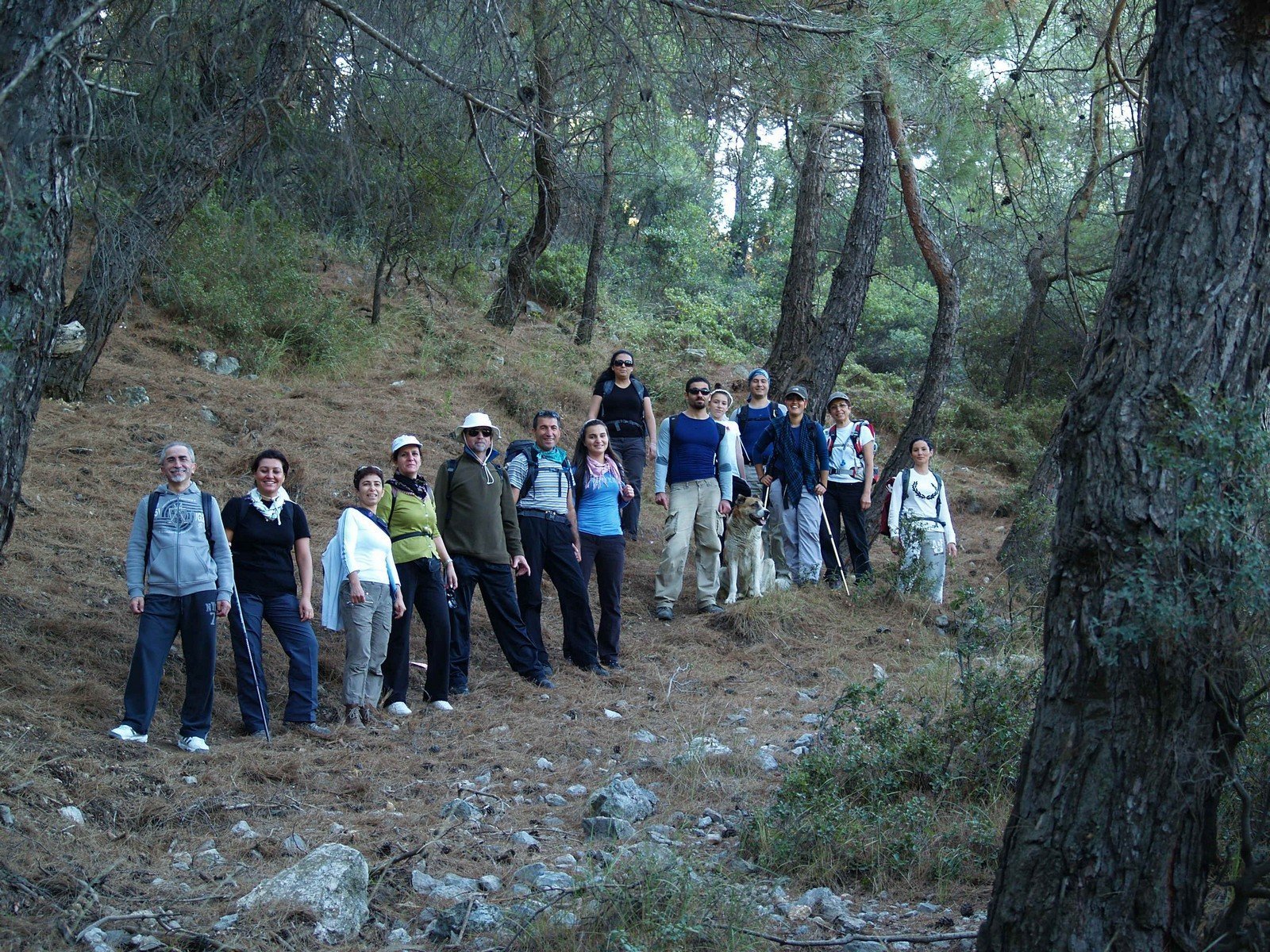 PA230069.jpg