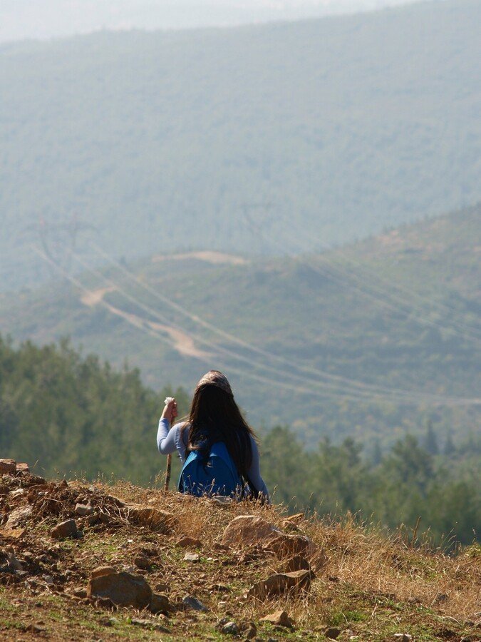 PA230120.jpg