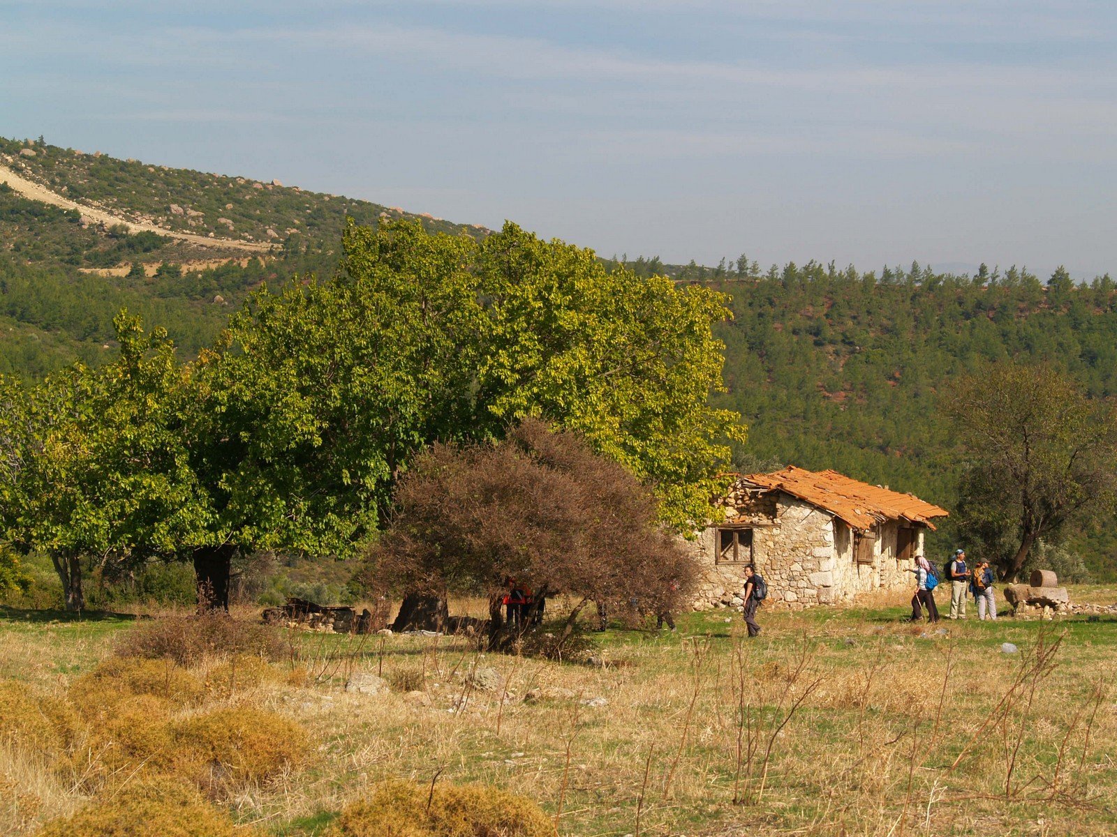PA230153.jpg