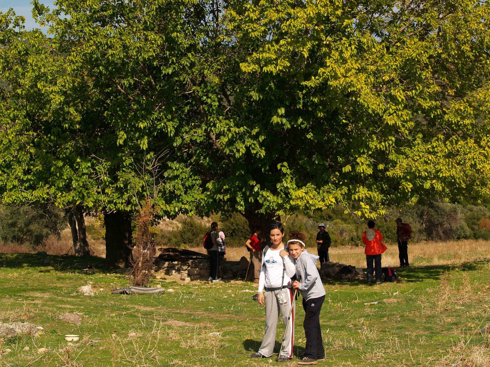 PA230154.jpg